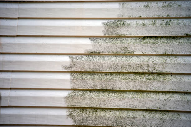 Best Siding Repair  in Clarksdale, MS